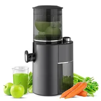 High Quality Big Mouth Slow Juicer Original Fruit Vegetable Juice Cold Press Slow Juicer Machine 1