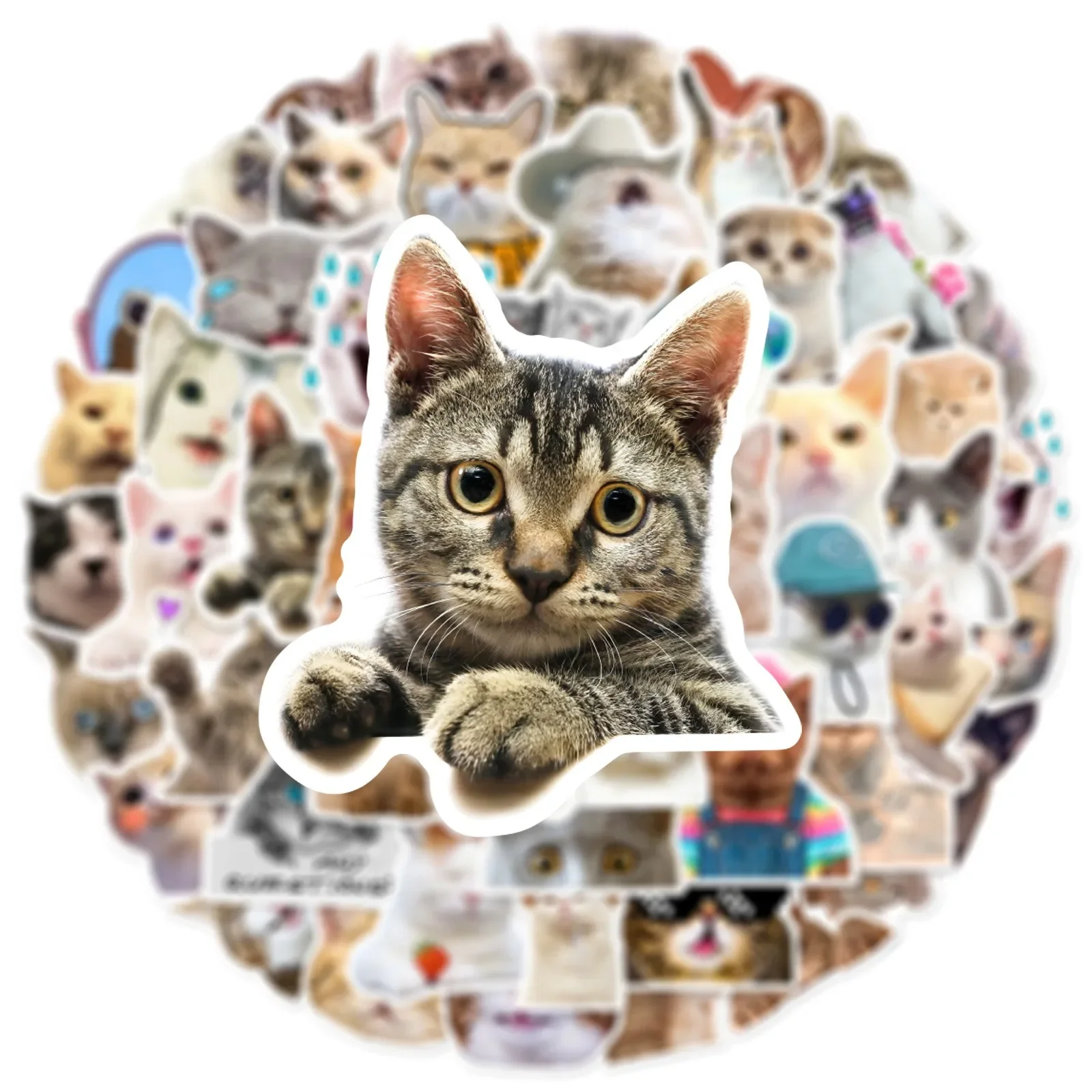 Рисунок 6 - наклейки в виде кошек