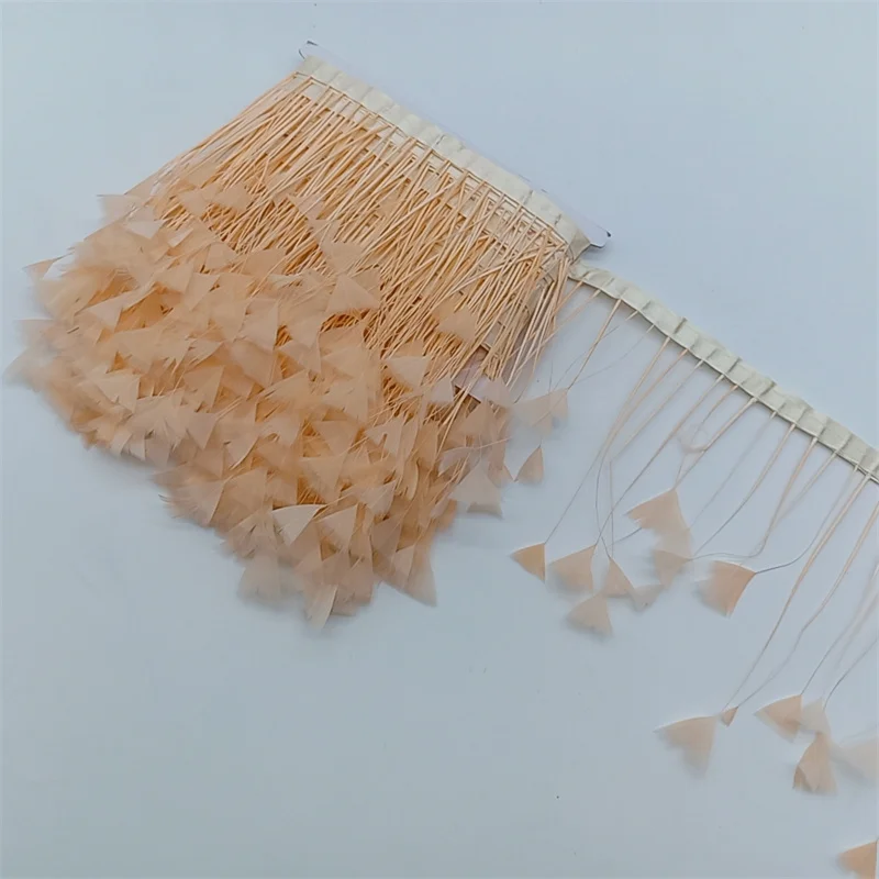champagne feathers
