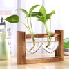 Transparent Glass Vase Wood Frame Iron Art Terrarium Bonsai Table Ornaments Flower Vase Tabletop Hydroponics Plant Flower Pot 4