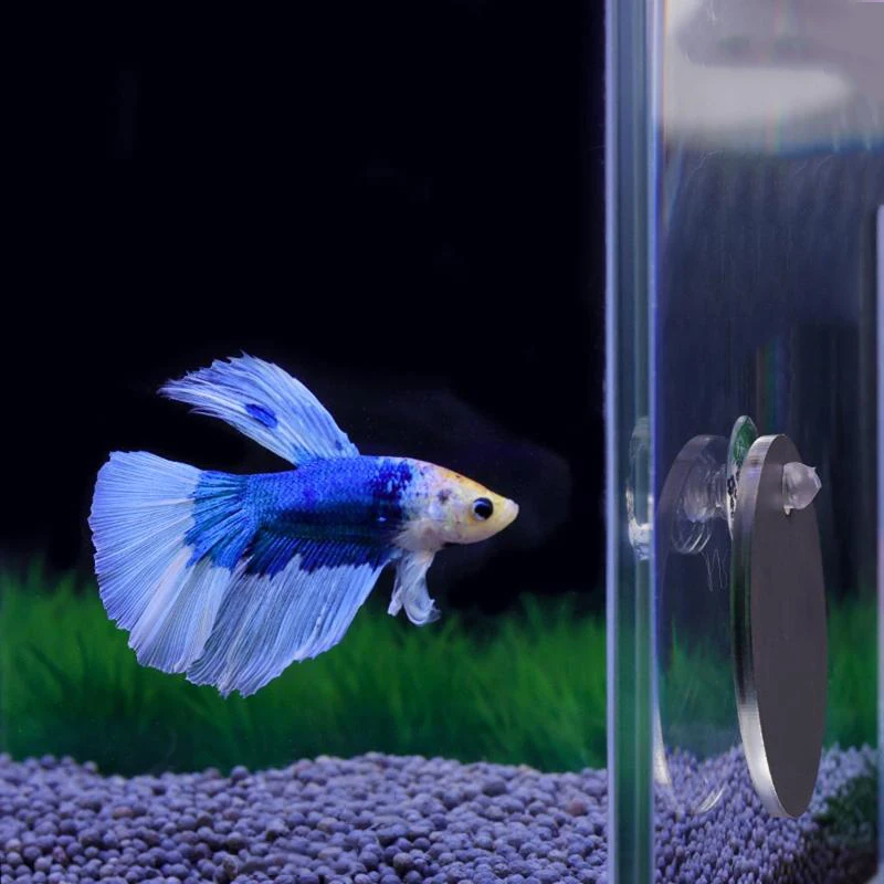 Acrylic Aquarium Betta Mirror Floating Round Mirror fish tank ornaments fish tank decorations aquarium ornaments For Fish Betta Flowerhorn Cichlid Training 4cm/5cm/6cm/7cm/8cm/9cm