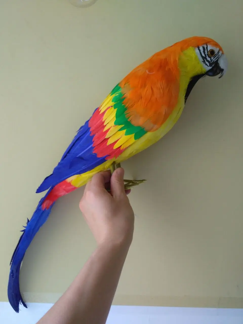 

new real life parrot model foam&feather big orange parrot bird gift about 60cm d0178