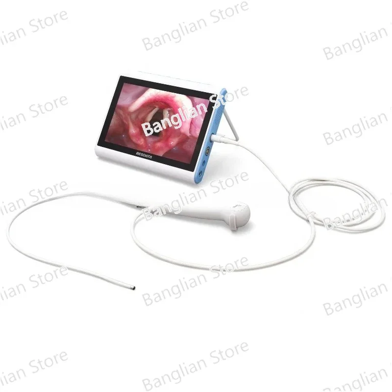 

A Disposable Flexible Endoscope with USB for Otolaryngoscopy