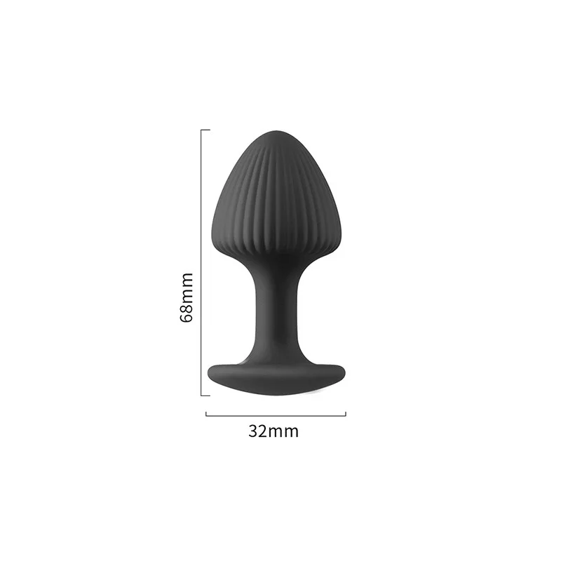 Analdilatations-set Für Anfänger Und Fortgeschrittene Komfort_voghion.com