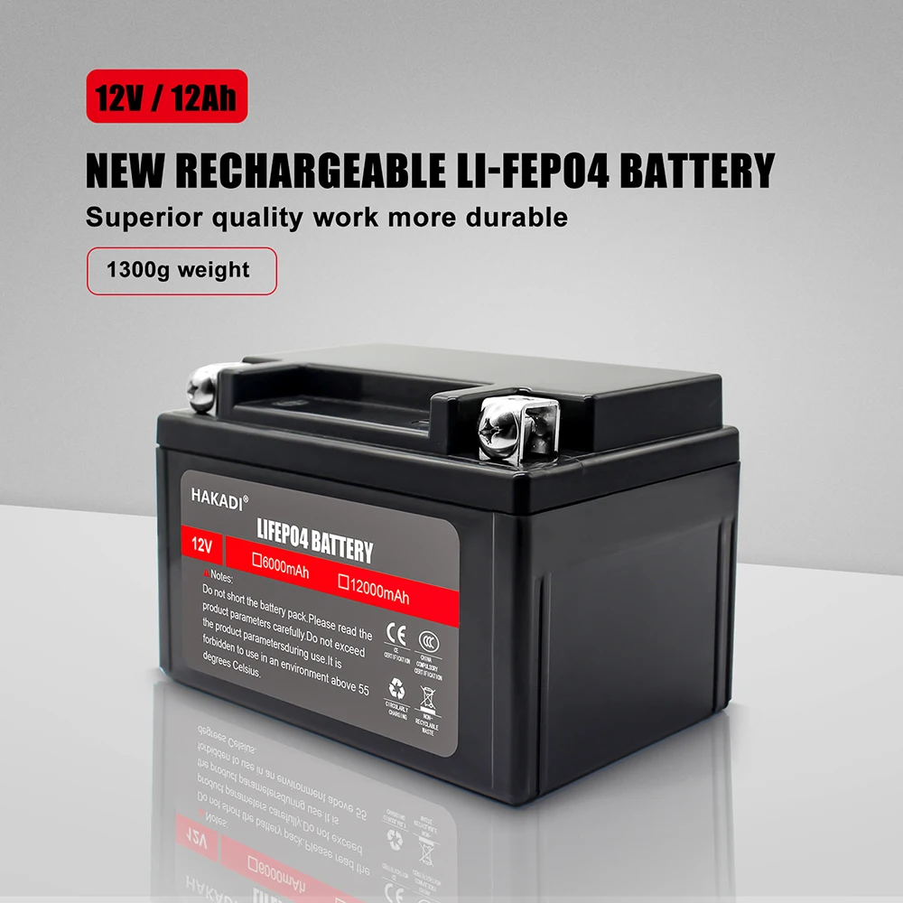 12V 12Ah LiFePO4 Lithium Iron Phosphate LiFePo4 Battery Pack, 4000+ Deep  Cycle Built in BMS