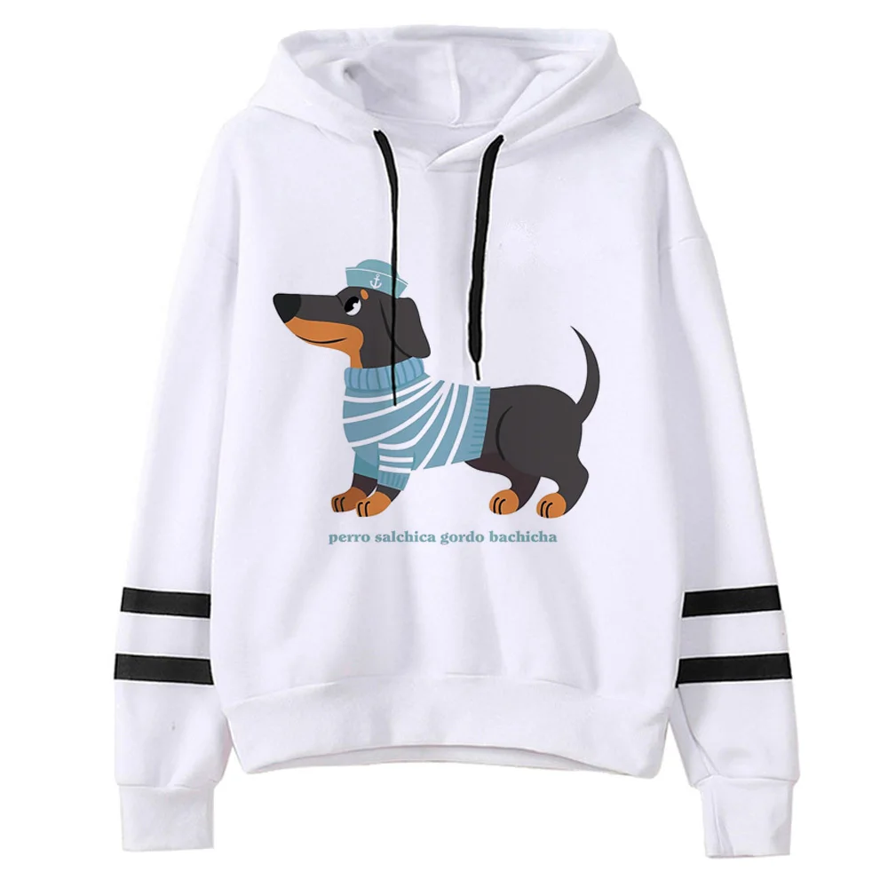 Perro Salchicha ĵ ϶  Ÿ,  ܿ , ʴ ҳ , Ʈ  Ÿ 
