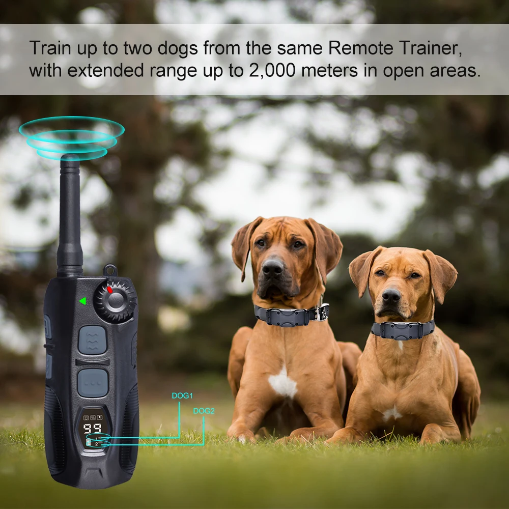 JANPET Wireless Dog Fence Collar & Remote Training Collar in 1 System