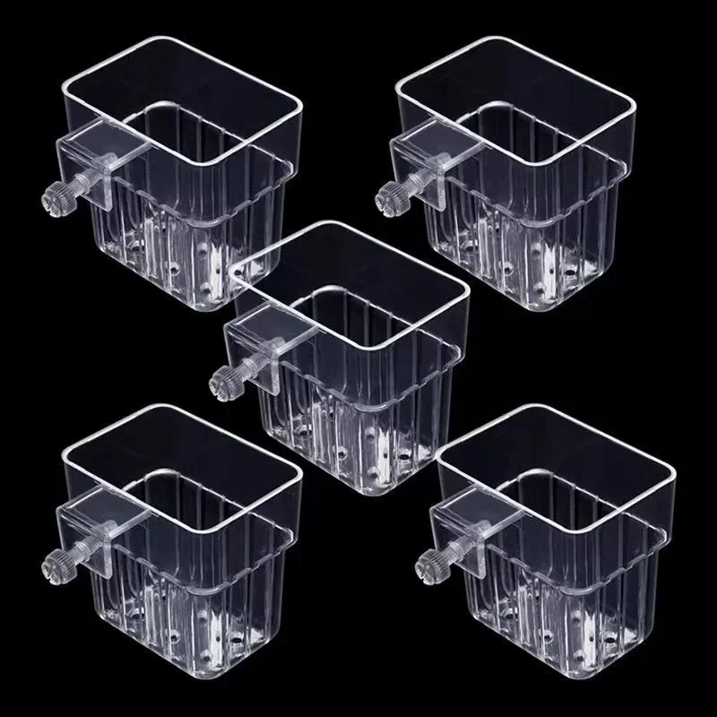 Transparent Hanging Aquarium Plant Holder for Aquatic Cultivation and Decoration