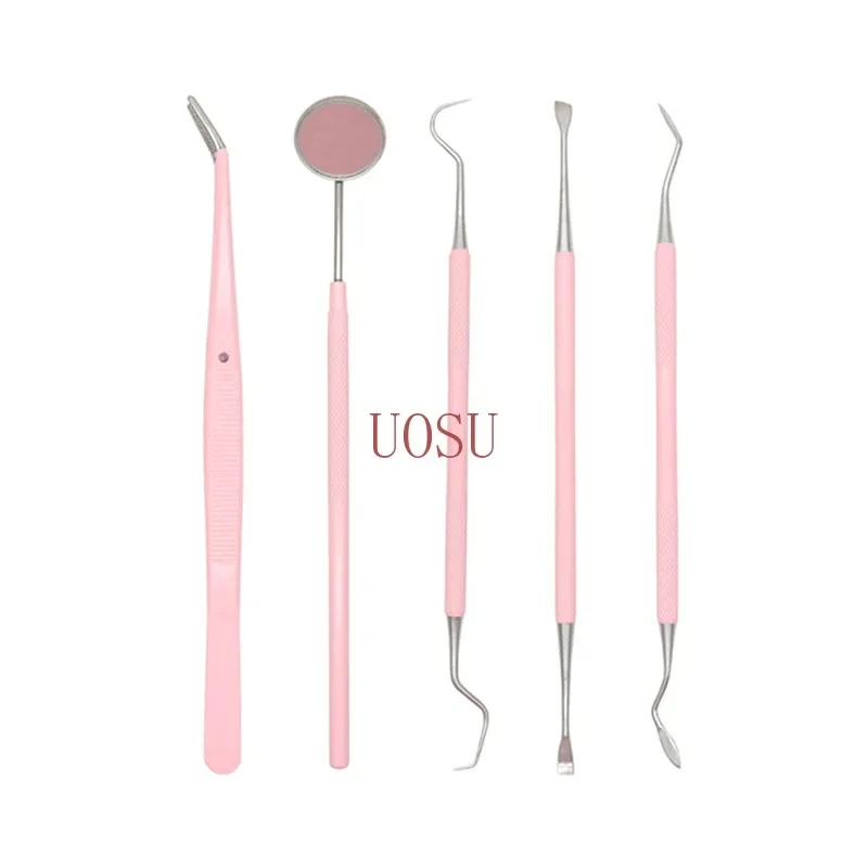 Pink Stainless Steel Dental Care Kit