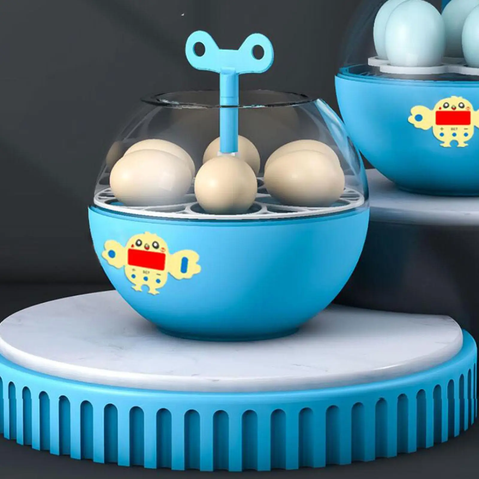 6 Eggs Incubator Visible Temperature Control Home Use Egg Hatcher Digital Egg Incubator for Quail Goose Chickens Turkey Duck