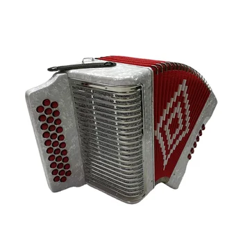 12 Bass White Button Accordion 31 Buttons Diatonic Conformation JB3112C Wood Instrument Acordeon