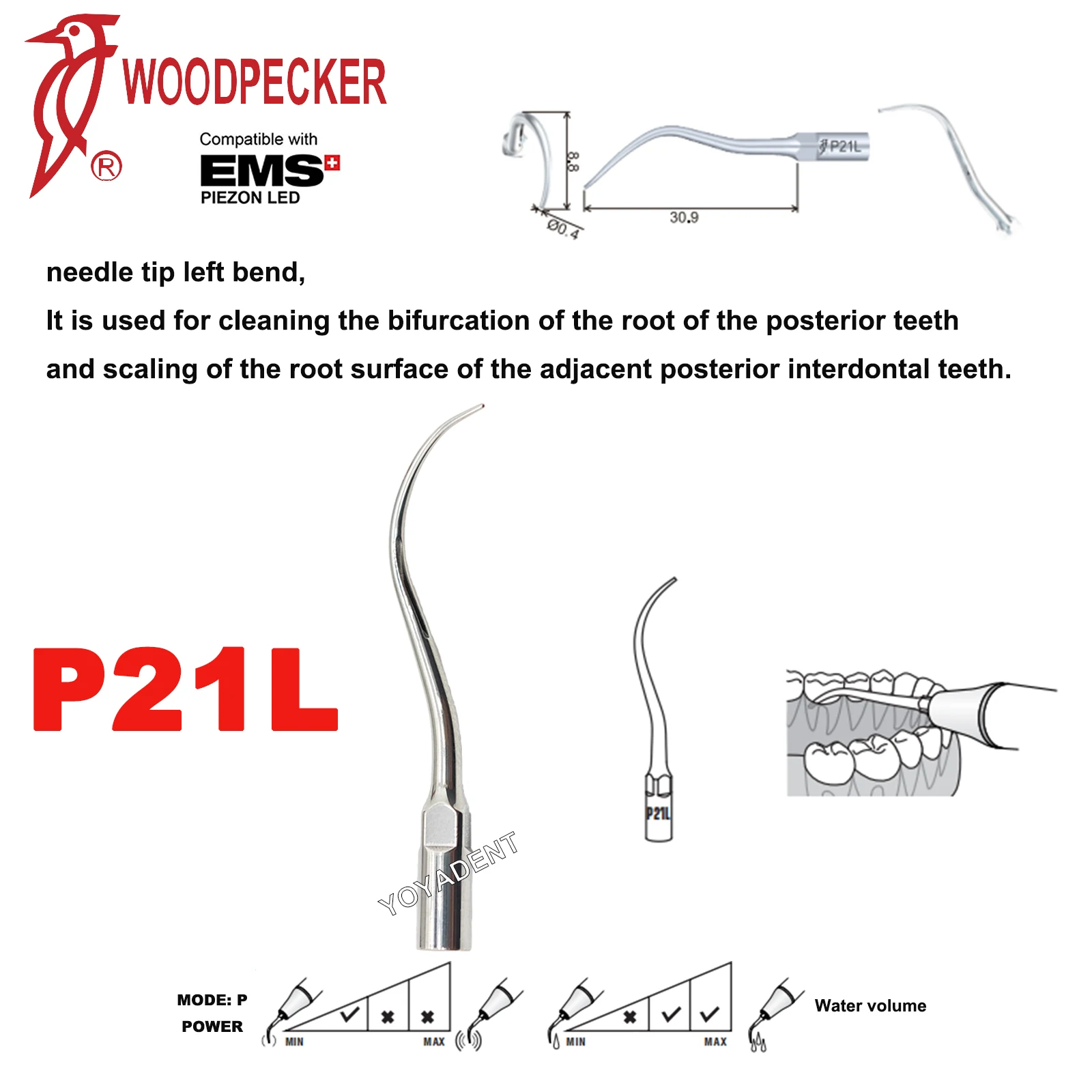 P21L