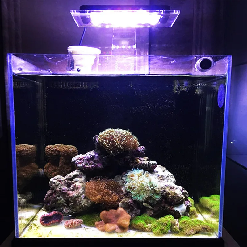 ZETLIGHT ZA-1201AI ZA1201 ZA1201WIFI LED light coral grow marine reef tank white blue aquarium fish tank SPS LPS color grow