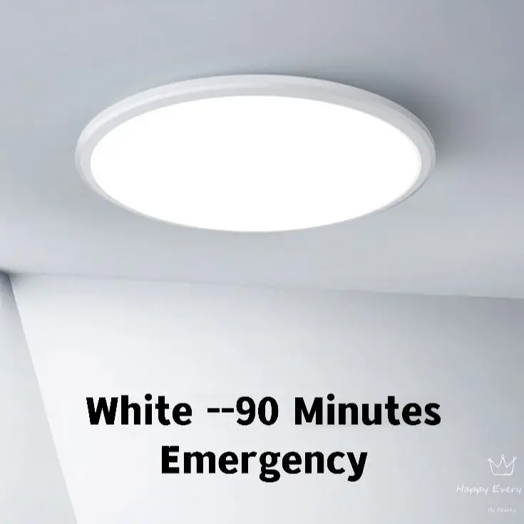 Led Emergency Light Round Moistureproof Dampproof Ceiling Lamp Ip65 Insect Prevention Balcony Veranda Led Cirle 12w To 48w