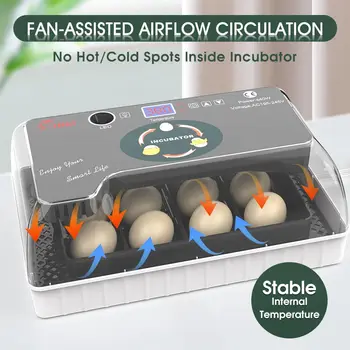 22003-c7aa72.jpg 12 Egg Incubator - Automatic Egg Turner, Temperature Control, Built-in Candler, Auto Water Refill for Hatching Chicken, Duck, Qu