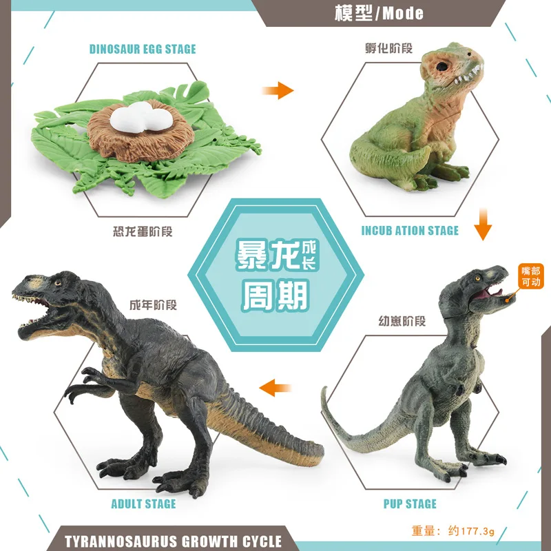 Dinosaur Growth Cycle Dinosaur Model Toy Animal Life Cycle Board Children Toys Montessori Teaching Aids preschool cognitive Toys 6