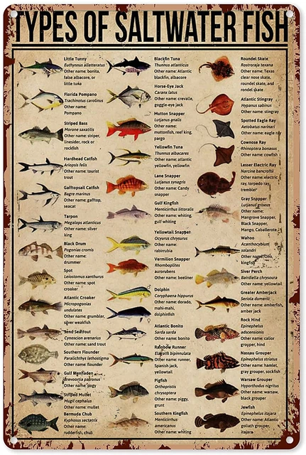 Vintage Fishing Metal Sign Types Of Saltwater Fish Knowledge Tin Sign Plaque  Wall Decor Home Man Cave Garage Bar - AliExpress