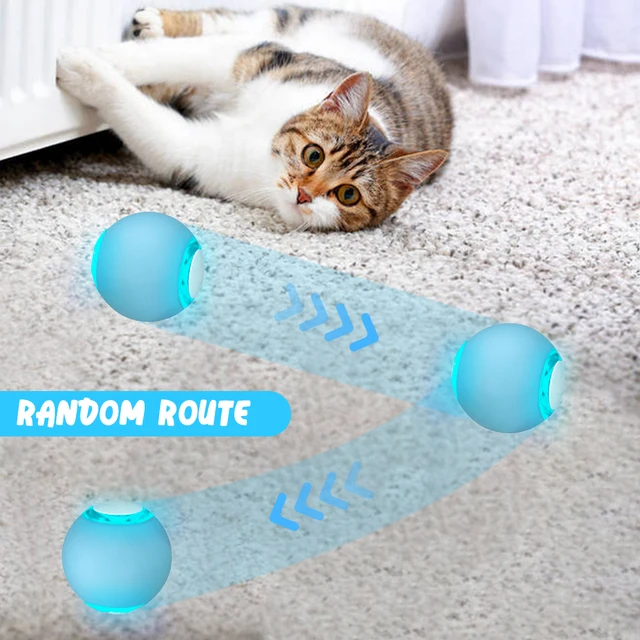 Electric Cat Training Device LittlePuppy