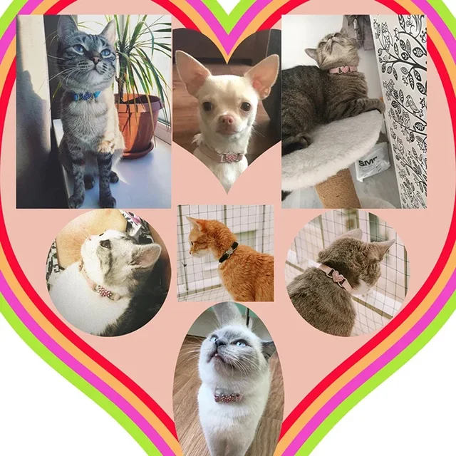 8 Colors Adjustable with Soft Velvet Material Pet Product Small Dog Collar Heart Charm and Bell Cat Collar Safety Elastic 6