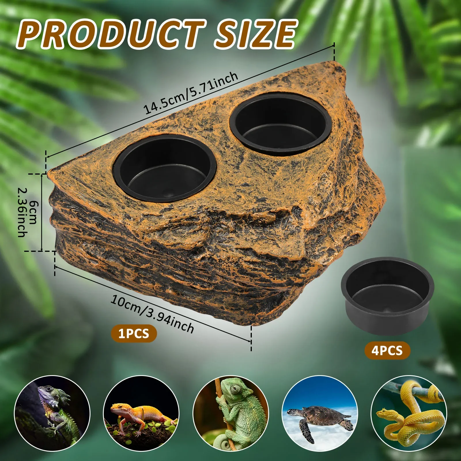 Magnetic Reptile Feeder Ledge 6