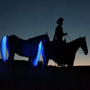 LED Horse Tail Light 1