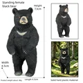 Female Black Bear