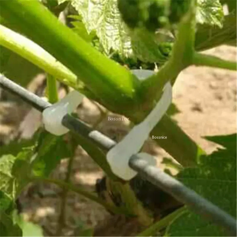 Plastic Plant Clips 50/100Pcs Tomato Support Clips Grape Rack Mesh Fasteners Gardening Agricultural Bundling