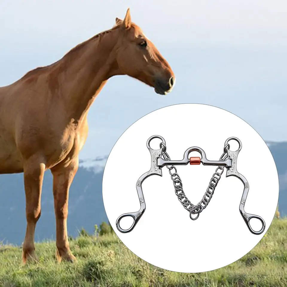 Embout de cheval en acier inoxydable, bouche en cuivre pour entraînement des chevaux, longueur de bouche en argent 120mm