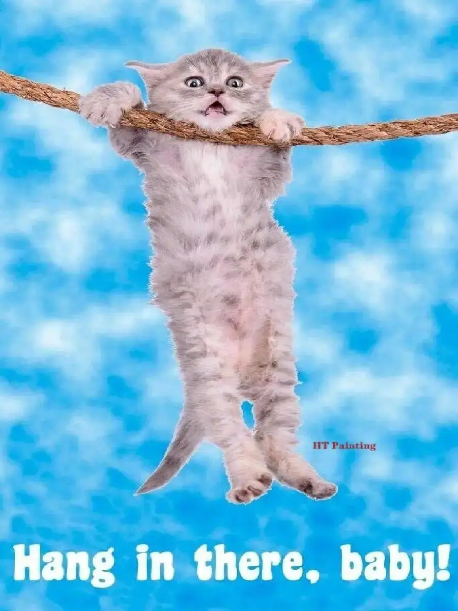 Hang In There 고양이 요가 포스터 홈 오피스 장식을위한 사랑스러운 캔버스 벽 예술