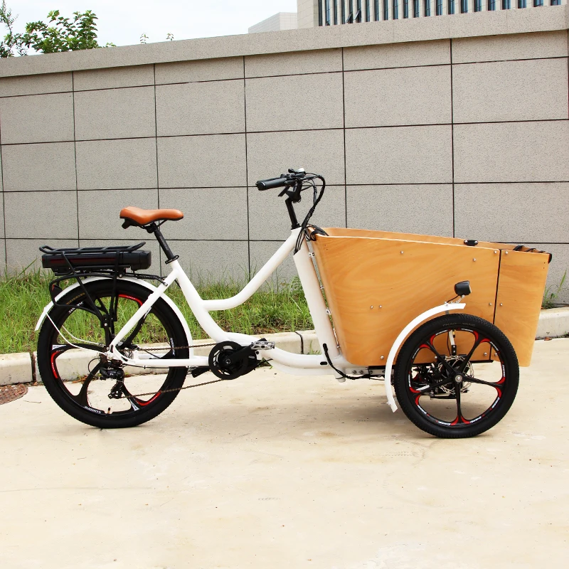 Boîte en bois incurvée, vélo Cargo familial avec roue intégrée, Tricycle à 3 roues E ou pédale pour adulte, boîte de couleur en bois