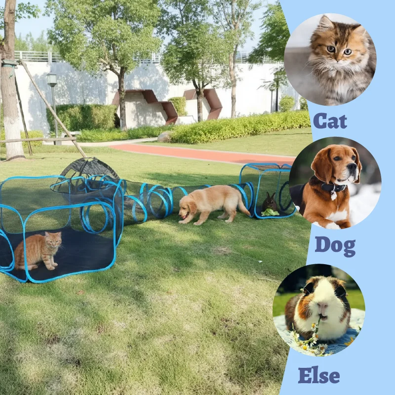 PetVentures Modular Play System S402d4a1da2e44067b372a4c79eb0e1d1R