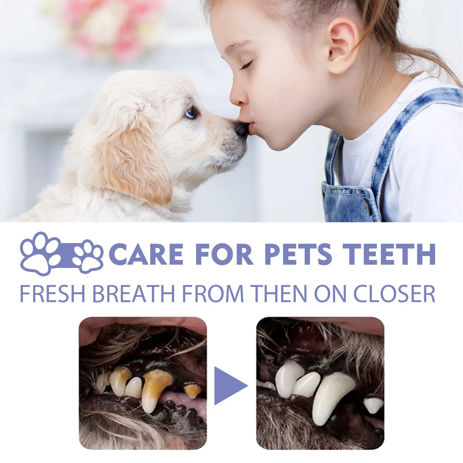Dog Dental Spray Removes Teeth Stains and Plaque