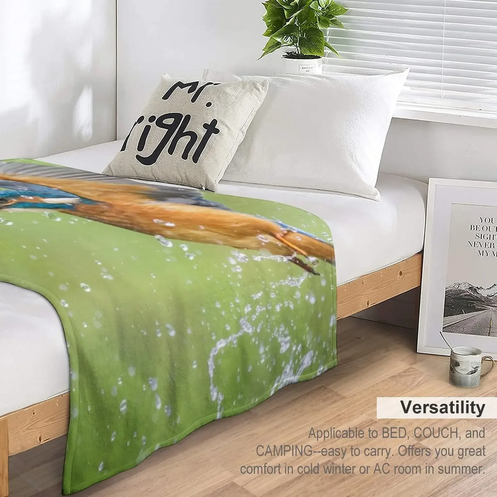 Kingfisher ������ ������ ���, ķ�� ���� ������ ���