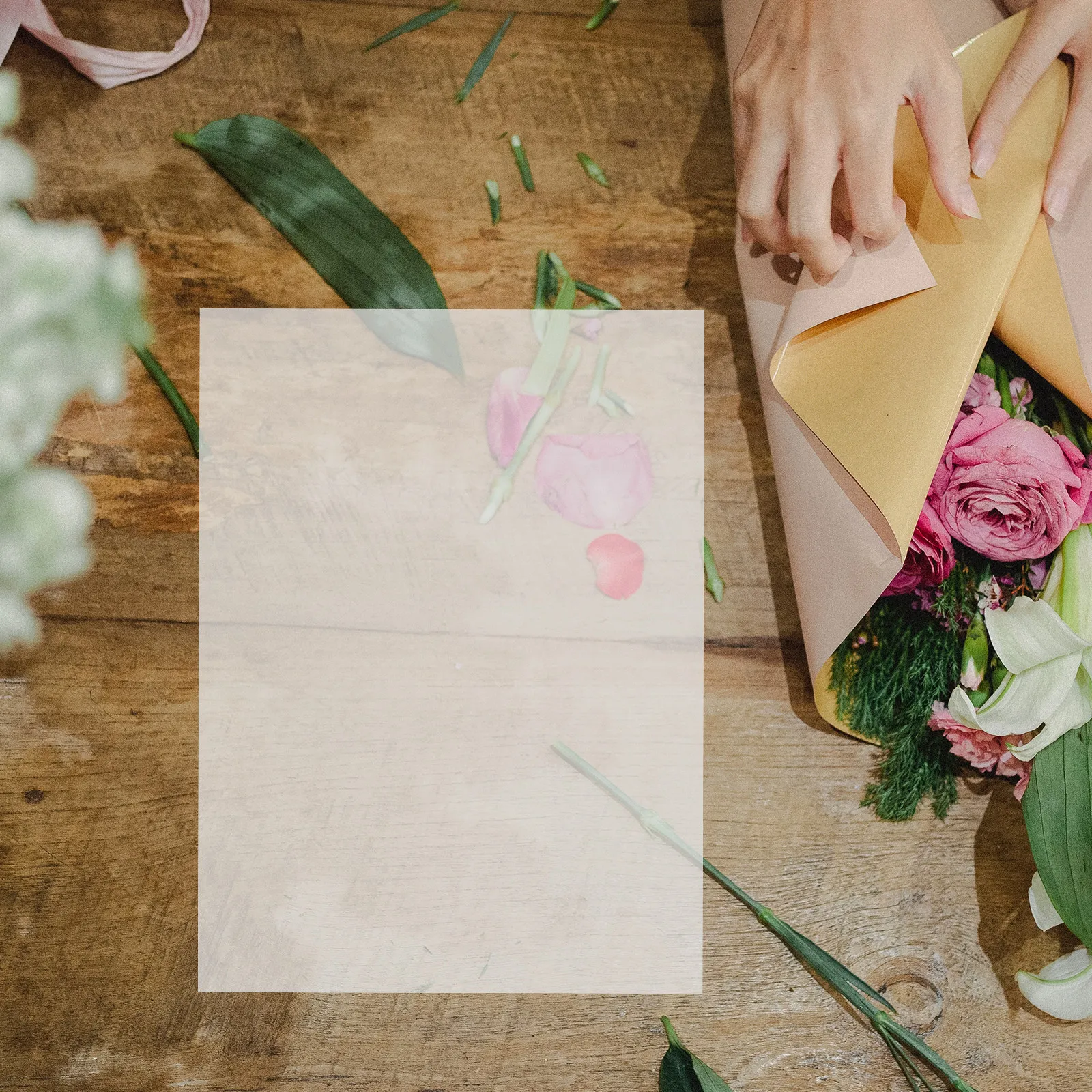 60개입 꽃 압화용 교체 블로터 종이, 꽃 압화용 리필지, DIY 표본 보드, 식물 잎 건조 공예용