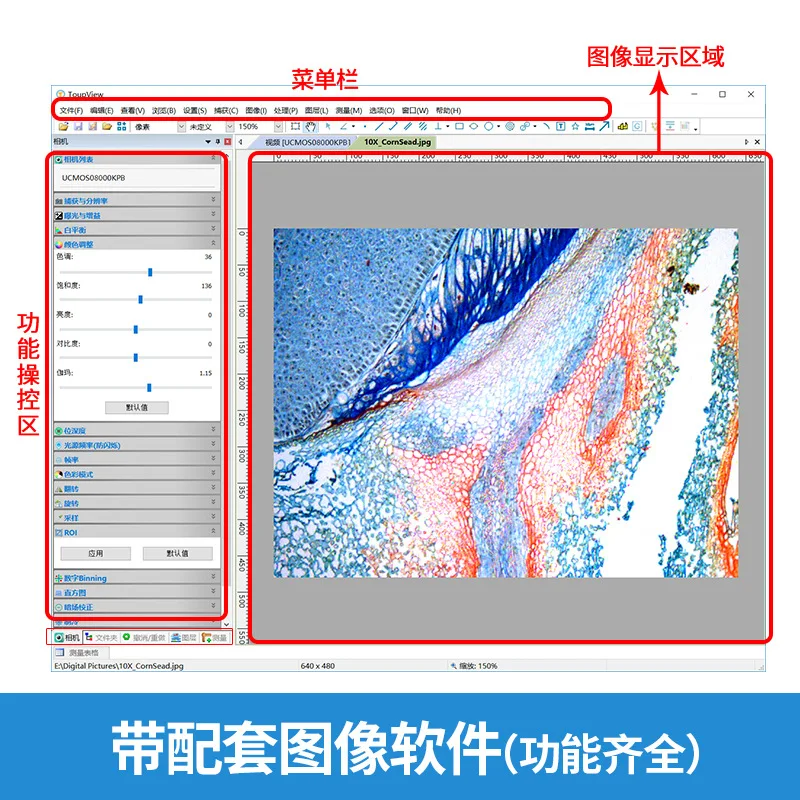 Жыныстық қатынас