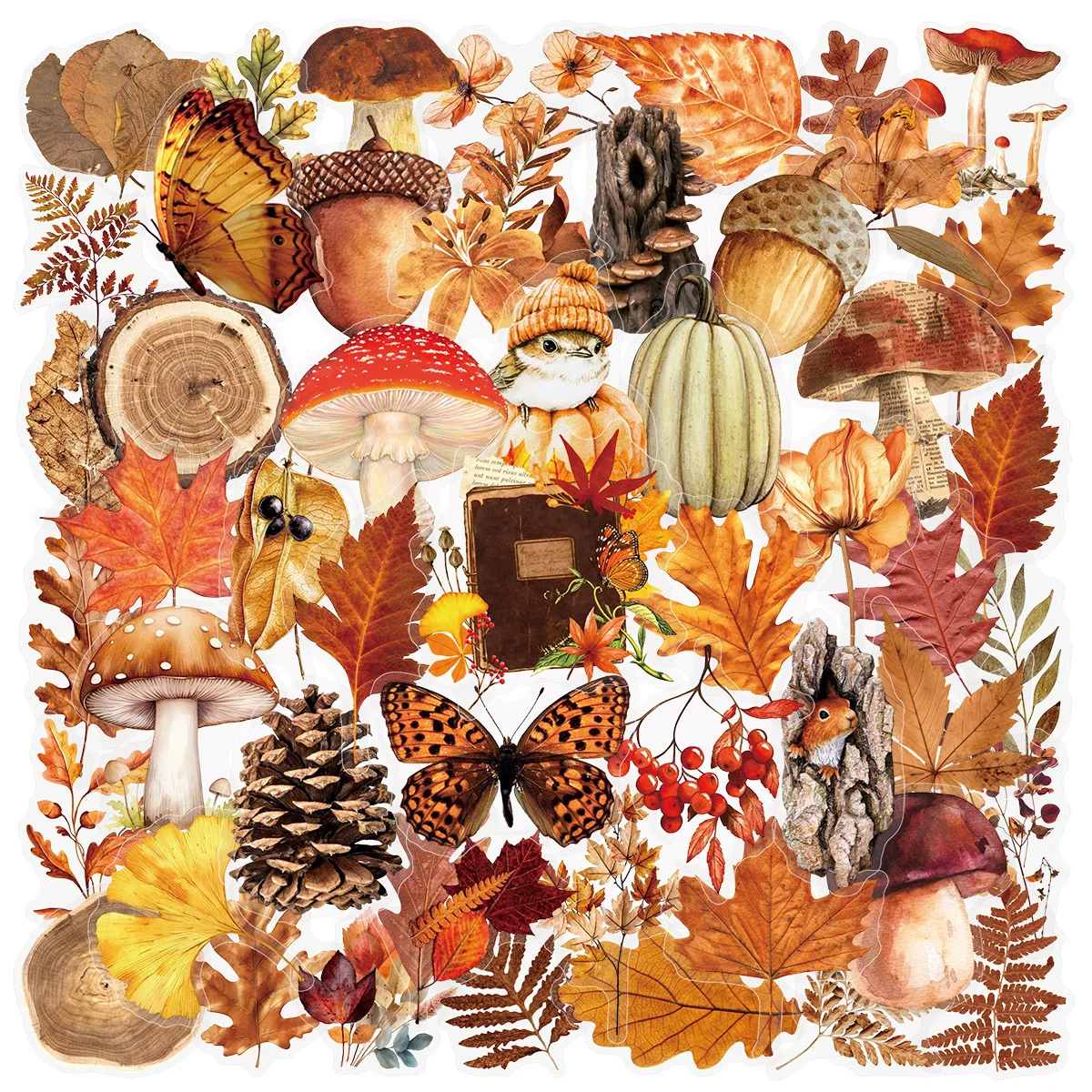 50Pcs Autumn Forest Animal & Plant Transparent Sticker School Stationery Decals Notebook Luggage Phone Fridge Stickers