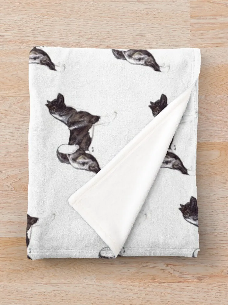 �̱� ��ŰŸ �� ǰ�� �� ���� ���ĵ� ���, �̱� ���