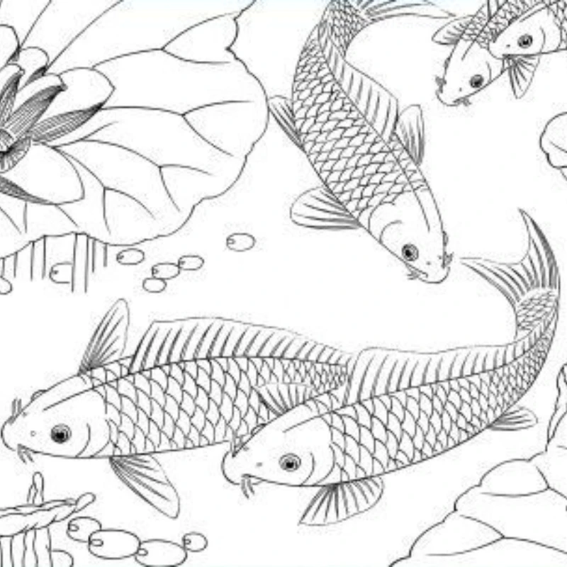 Fish Line Drafts Meticulous Painting Line Drawing Manuscript Beginner Chinese Painting Copying HD Manuscript Chinese Line Draft fish line drafts meticulous painting line drawing manuscript beginner chinese painting copying hd manuscript chinese line draft