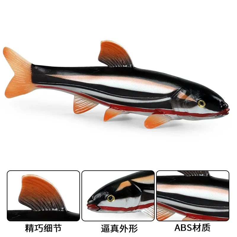 

Early childhood education simulation solid marine animal model Yarrow Float Fish Freshwater Fish Toy