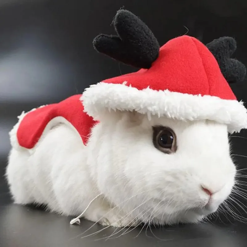 

Christmas Rabbit Clothes Towing Rope Stylish Rabbit Winter Clothing Hamster Jacket Skin-friendly Christmas Rabbit Costume
