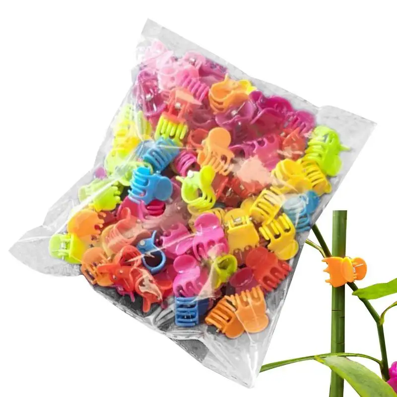 

Orchid Clips 100pcs Tomato Clip Garden Clips Plant Clips Colorful Trellis Clips For Climbing Plants Grow Upright Flower And Vine