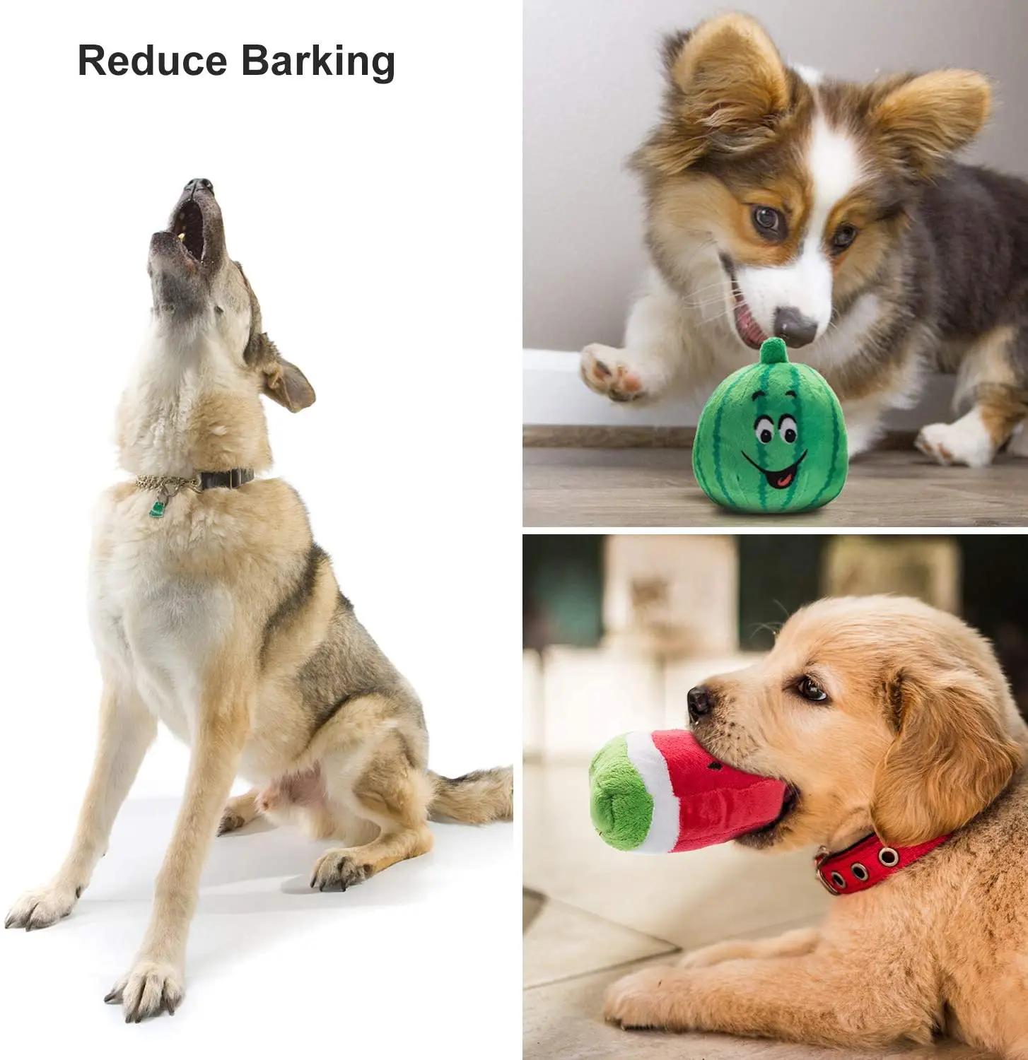 Palline Cigolanti Per Cani Piccoli - 6 Pezzi In Lattice Con Sorriso, Giocattoli Sicuri - Foto 6