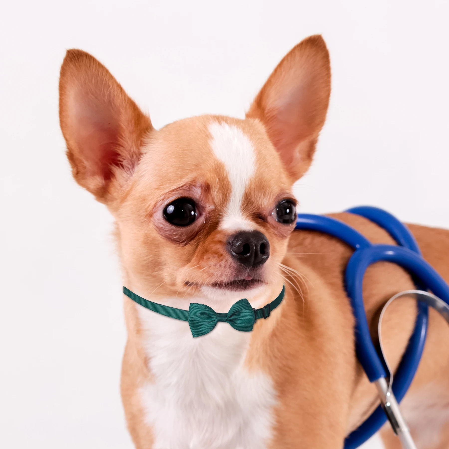 Pet Collar Adjustable Candy Color Bow Tie Collar for Cats and Dogs - Stylish Pet Accessory for Comfort and Fashion Pet Collar 4