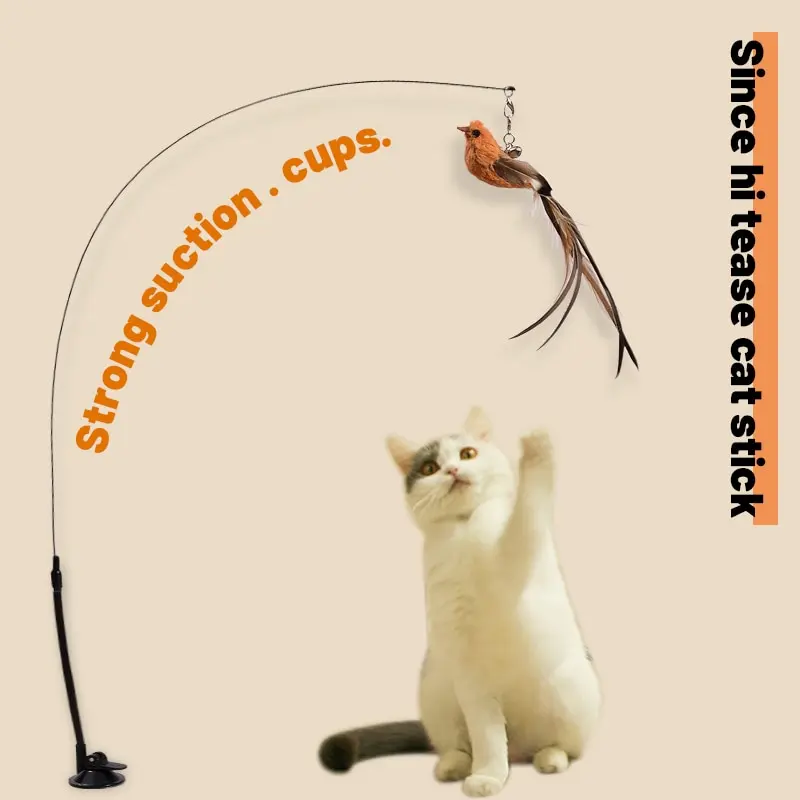 Cat Teaser Stick Upgraded Epoxy Sucker Steel Wire Long Rod Feather No Harmful Ingredients