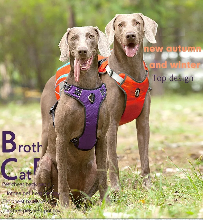 S40405387030342d3ab36fef7e49f5735I