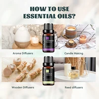 MAYJAM 10ML huile essentielle lavande jasmin Eucalyptus vanille bois de santal bergamote romarin citronnelle cannelle huile parfumée 6