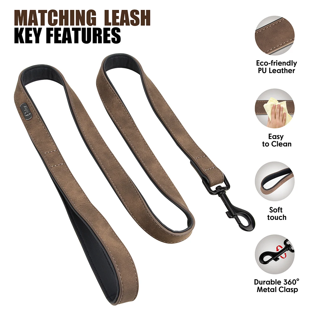 Custom Leather Dog Collar & Leash Set 3