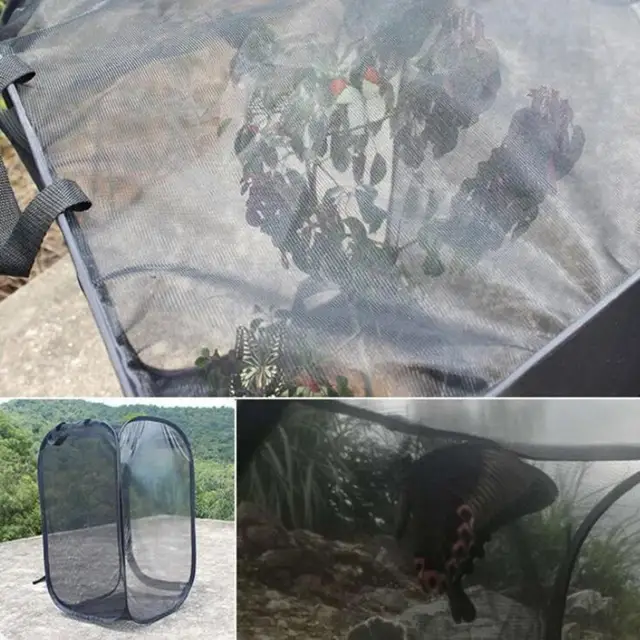 Hasznos Rovar Ketrec Jó Légáramlás Rovarháló Összecsukható Újrafelhasználható Természet Tudás Élőhely Háló - Image 4