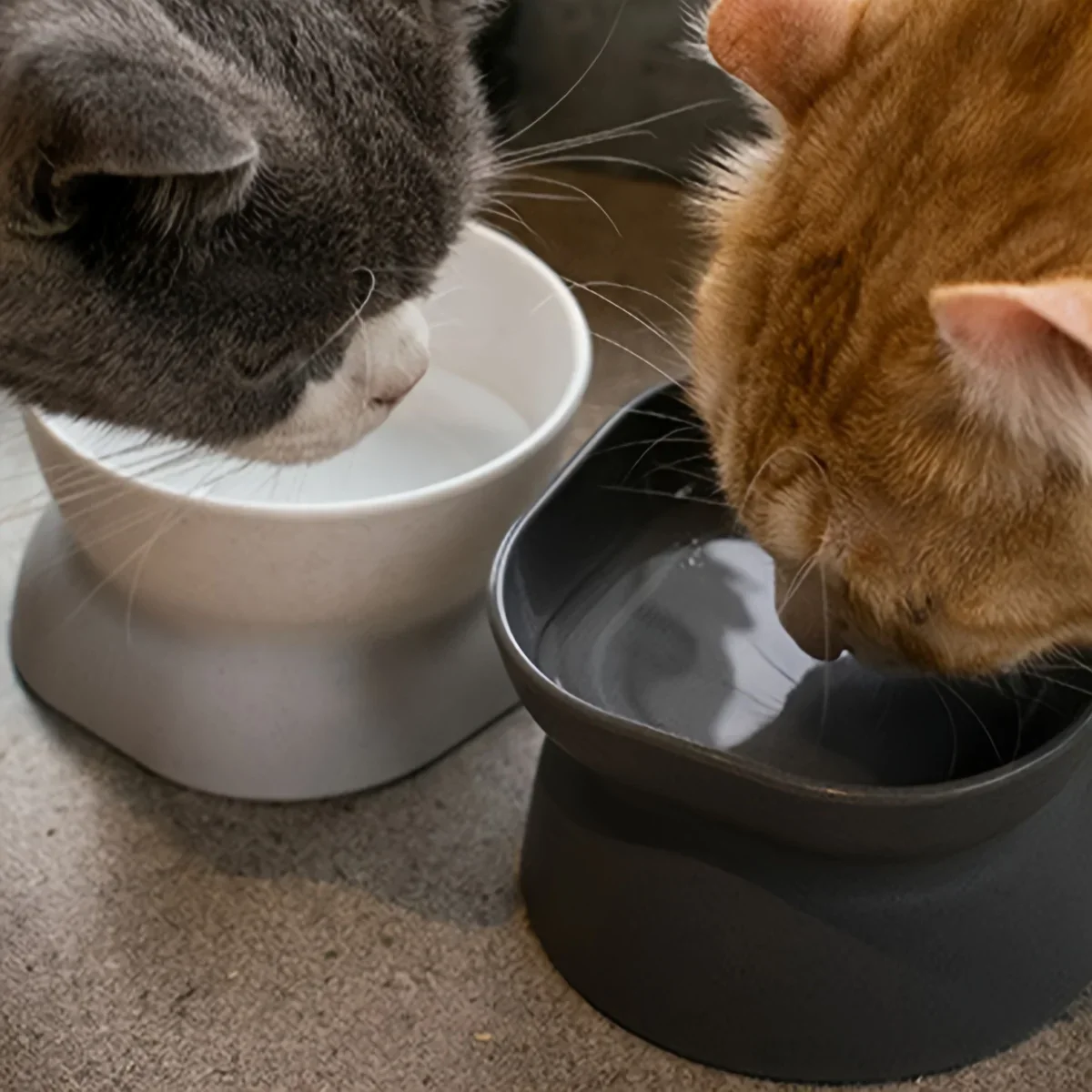 1pc-Pet Inclined Feed Bowl