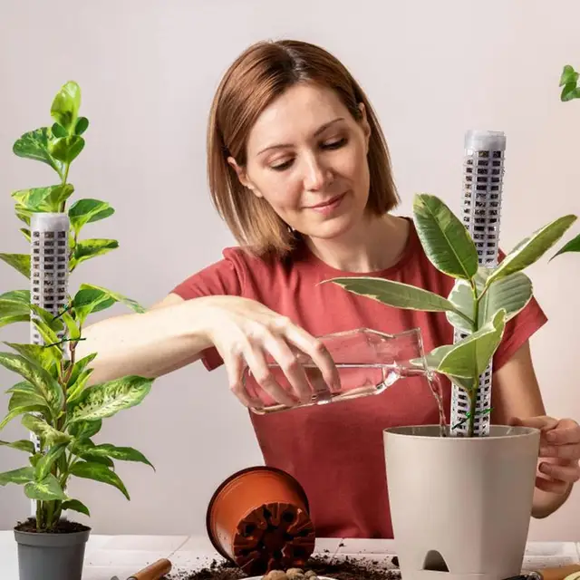 Növénytámogató Tétkert Kerti Botok Mohás Oszlopok Beltéri És Kültéri Mászáshoz - Image 5